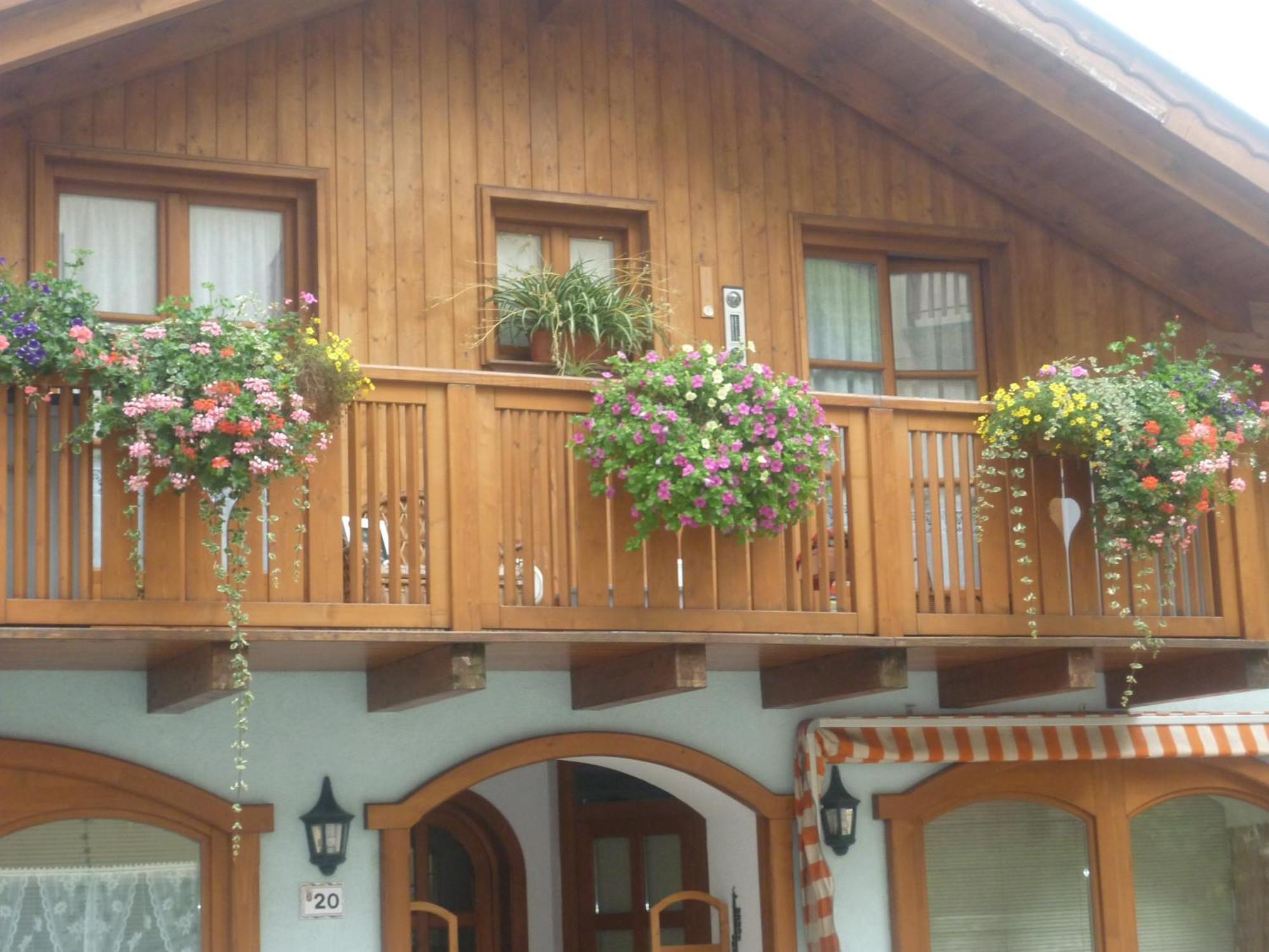 Appartamenti -Casa Nicolussi- Molveno Eksteriør bilde